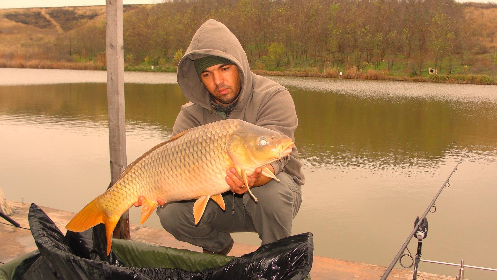 Magura 9 23 - 23 nov. - 23.JPG